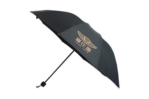 廣告雨傘 雨邦傘業(yè)可印logo 廣告雨傘批發(fā)
